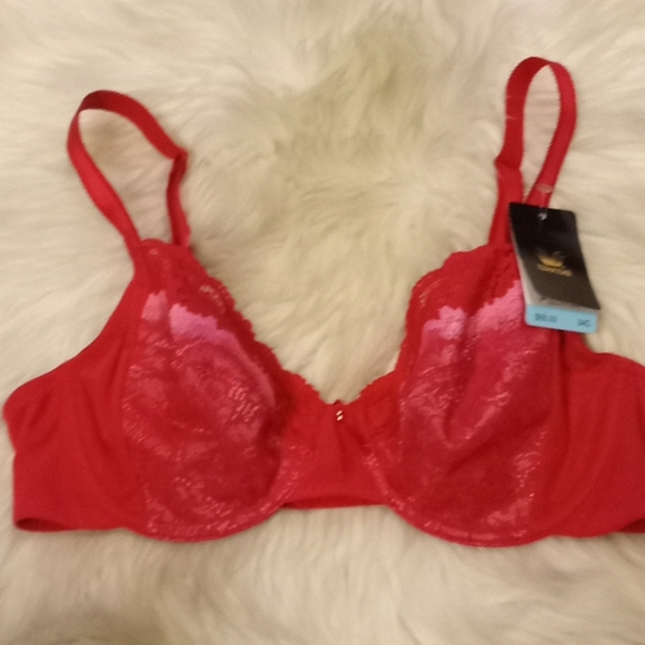 Wacoal Lace & Mesh Pinks Bra - Picture 16 of 16